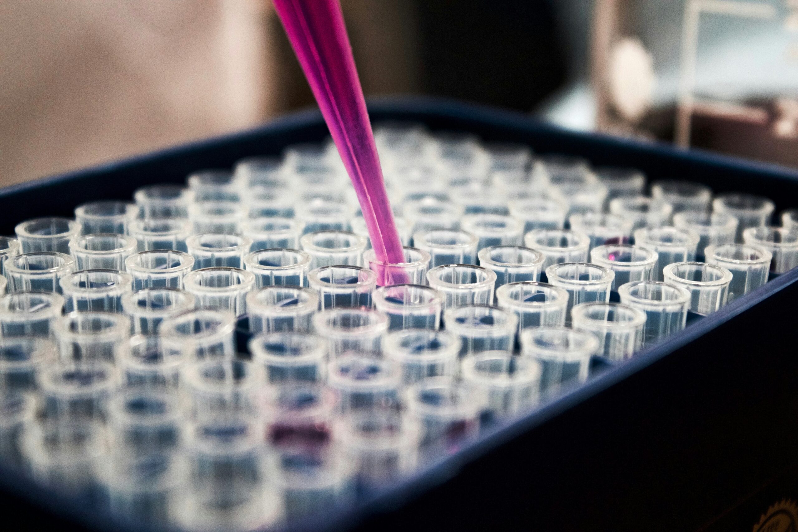 A close-up of a pipette dispensing a pink liquid into one of many clear test tubes arranged in a plastic rack, suggesting a laboratory or scientific experiment setting.